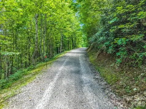 2255 Mount Olivet Road Zirconia NC 28790