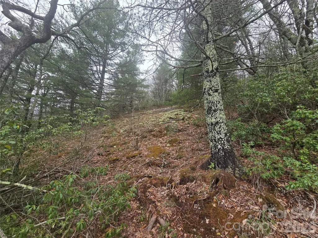 Lot 15 Shirley Pressley Road Glenville NC 28736