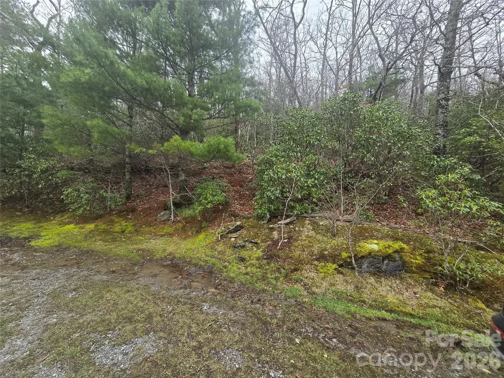 Lot 15 Shirley Pressley Road Glenville NC 28736