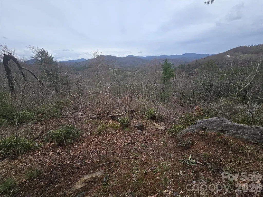 Lot 15 Shirley Pressley Road Glenville NC 28736