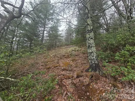 Lot 15 Shirley Pressley Road Glenville NC 28736