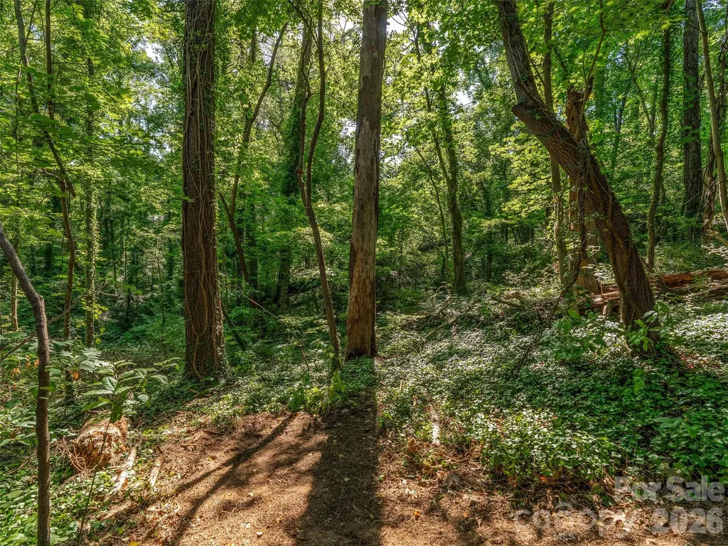 103 Aurora Drive Asheville NC 28805