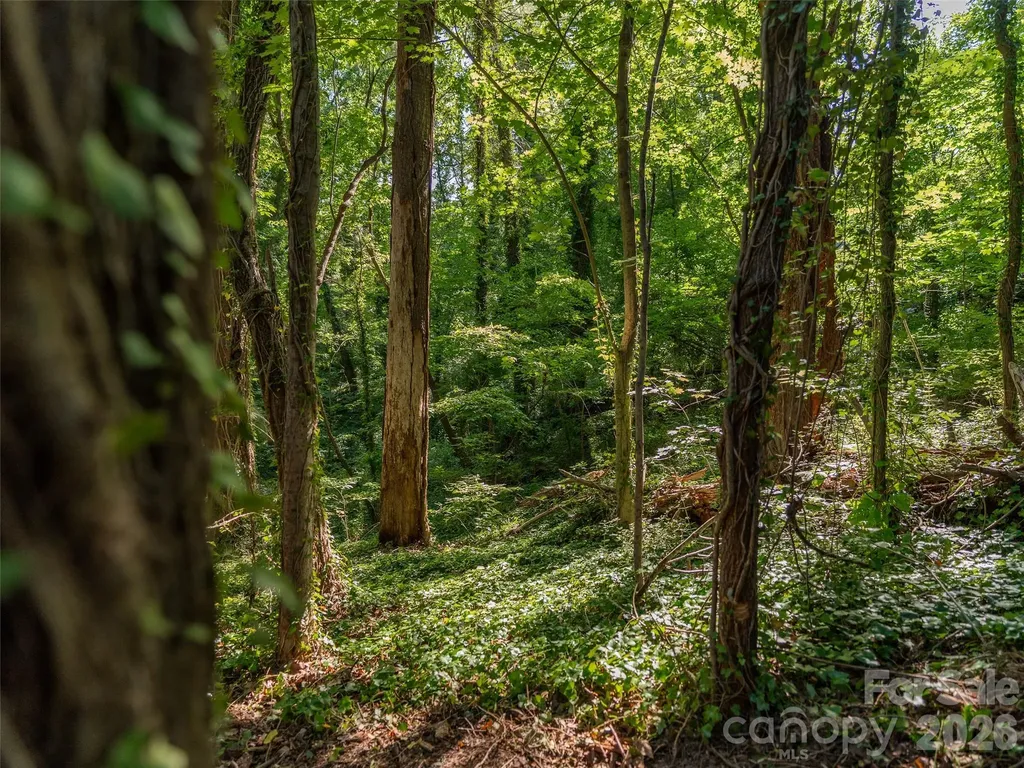 103 Aurora Drive Asheville NC 28805