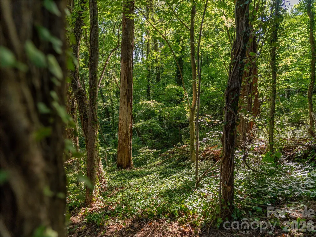 103 Aurora Drive Asheville NC 28805