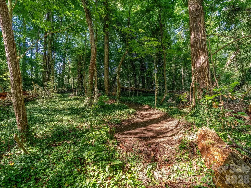 103 Aurora Drive Asheville NC 28805