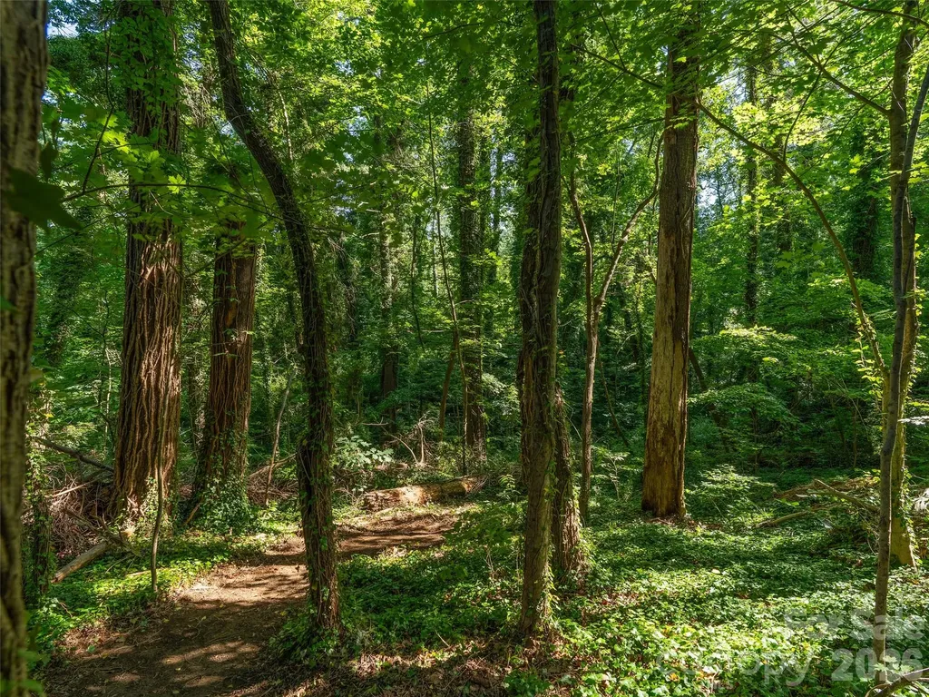 103 Aurora Drive Asheville NC 28805