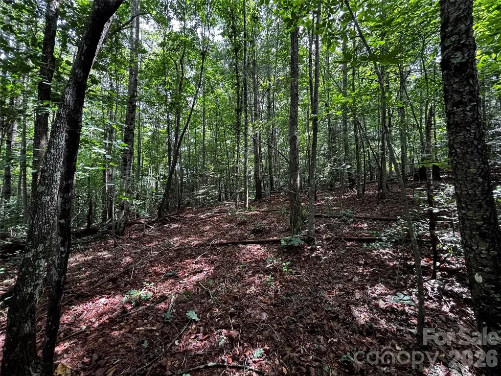 8485 Huffman Avenue Connelly Springs NC 28612