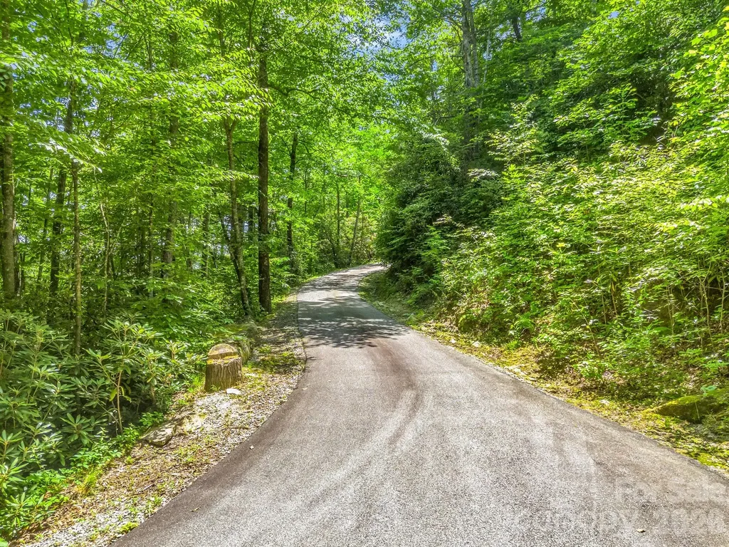 39 Lambert Lane Black Mountain NC 28711
