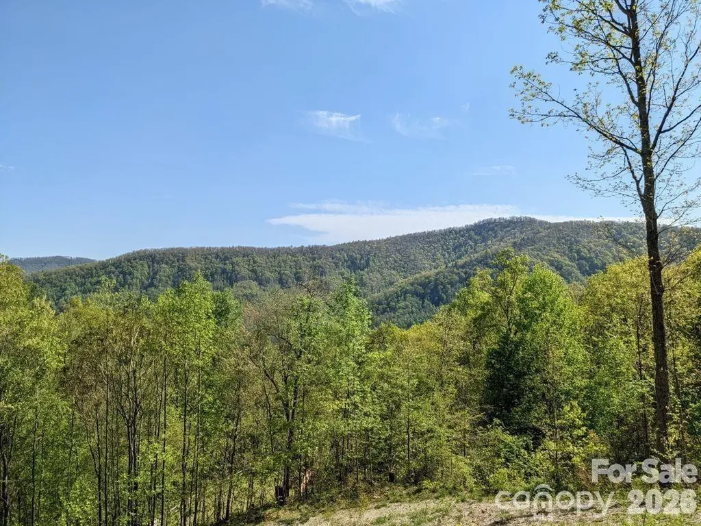 351 Kestrel Lane Black Mountain NC 28711