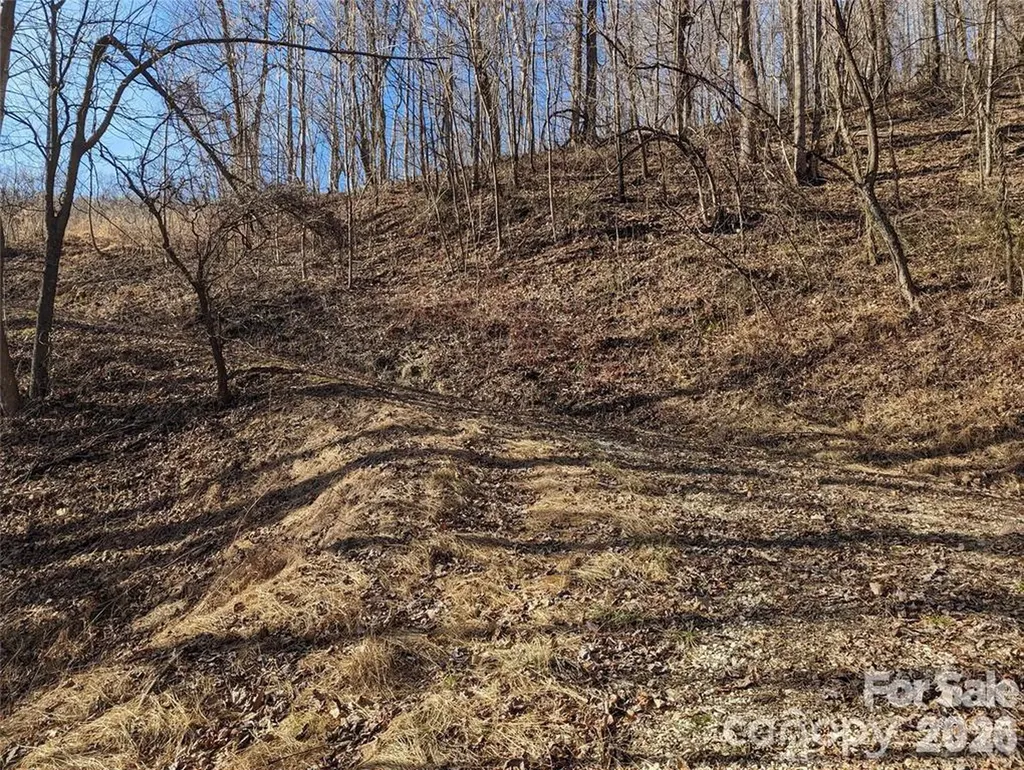 351 Kestrel Lane Black Mountain NC 28711