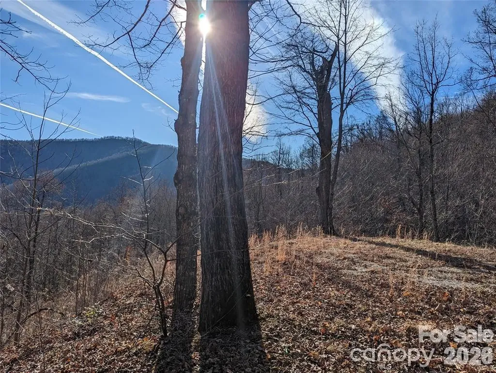 351 Kestrel Lane Black Mountain NC 28711