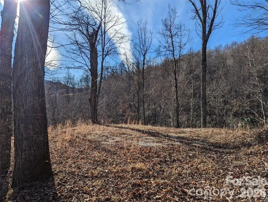 351 Kestrel Lane Black Mountain NC 28711