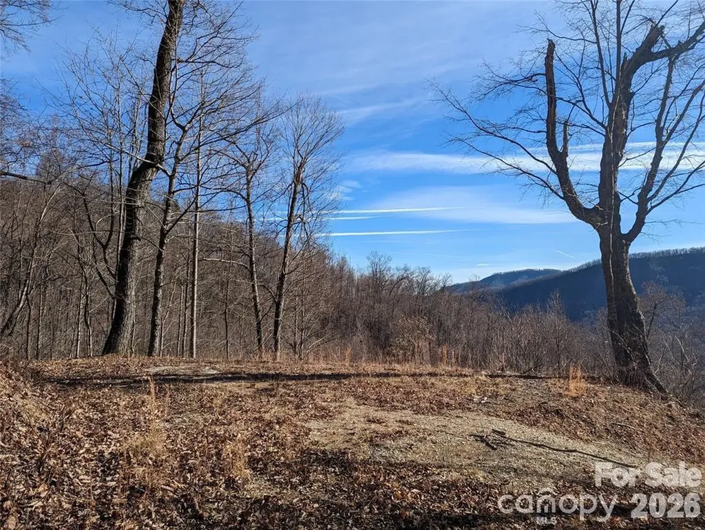 351 Kestrel Lane Black Mountain NC 28711