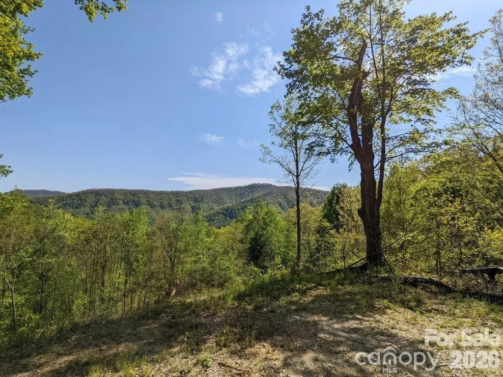351 Kestrel Lane Black Mountain NC 28711