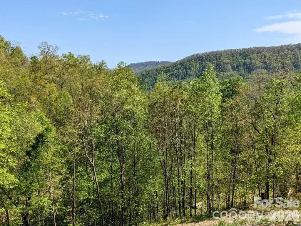 351 Kestrel Lane Black Mountain NC 28711