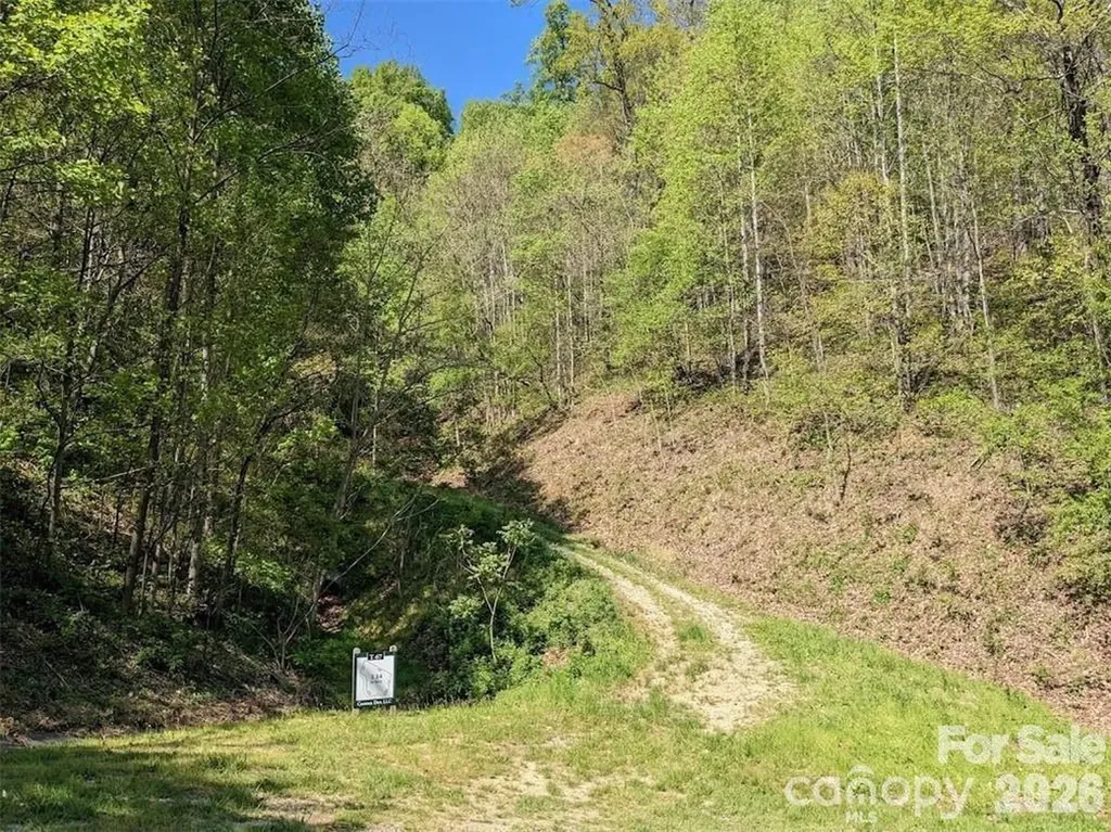 351 Kestrel Lane Black Mountain NC 28711