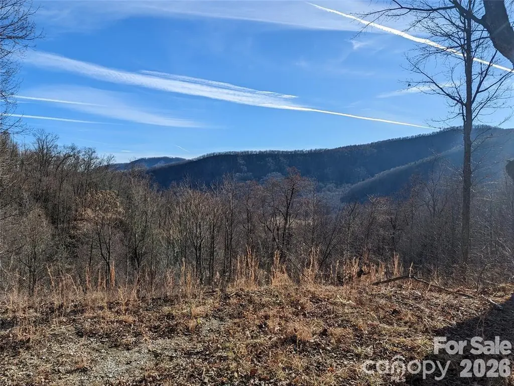 351 Kestrel Lane Black Mountain NC 28711