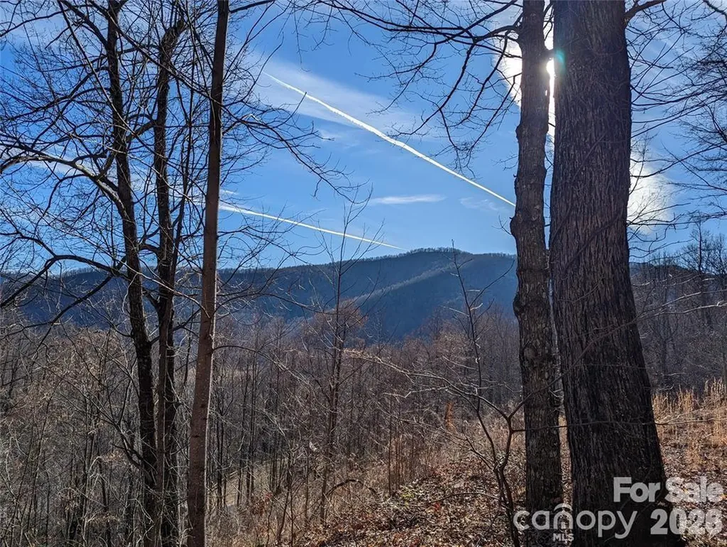 351 Kestrel Lane Black Mountain NC 28711