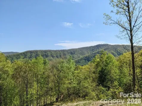 351 Kestrel Lane Black Mountain NC 28711