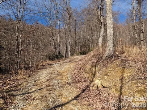 351 Kestrel Lane Black Mountain NC 28711