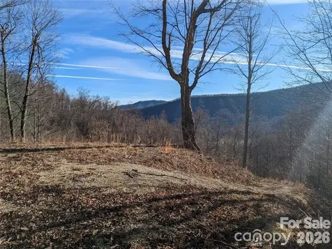 351 Kestrel Lane Black Mountain NC 28711