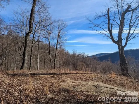 351 Kestrel Lane Black Mountain NC 28711