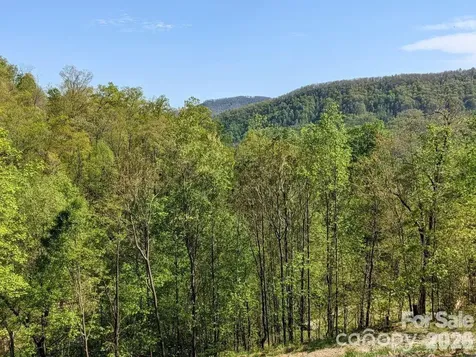 351 Kestrel Lane Black Mountain NC 28711