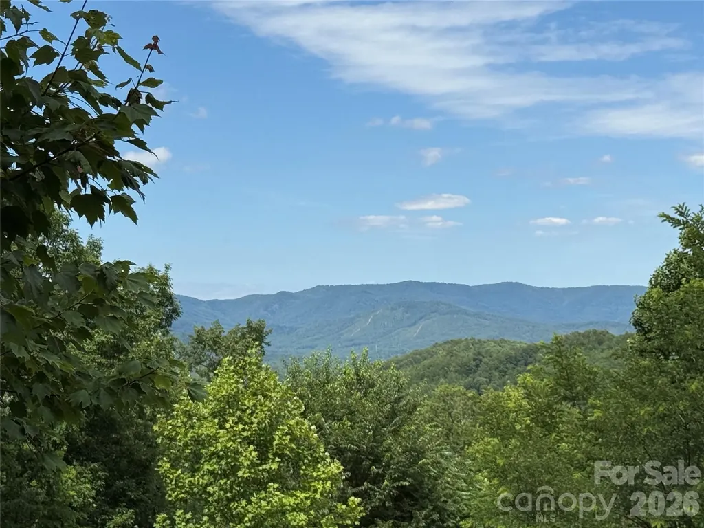 0 Scouts Trail Bostic NC 28018