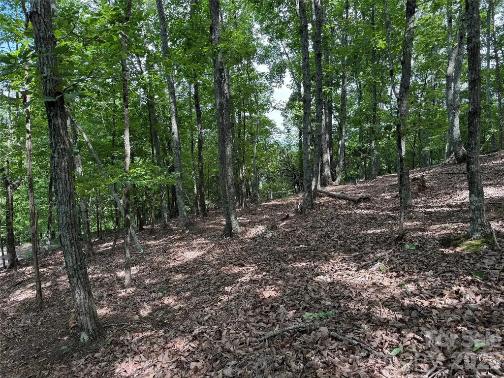 0 Scouts Trail Bostic NC 28018