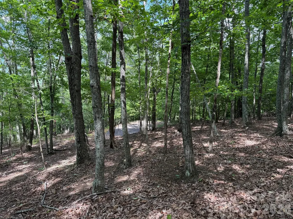 0 Scouts Trail Bostic NC 28018