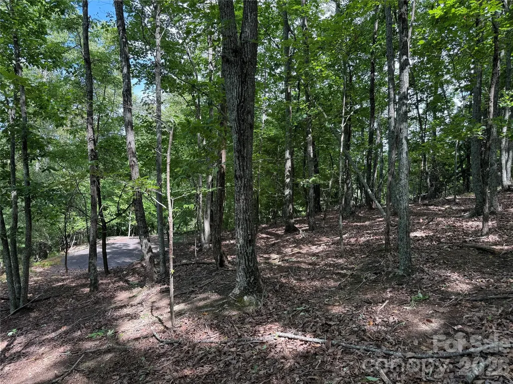 0 Scouts Trail Bostic NC 28018