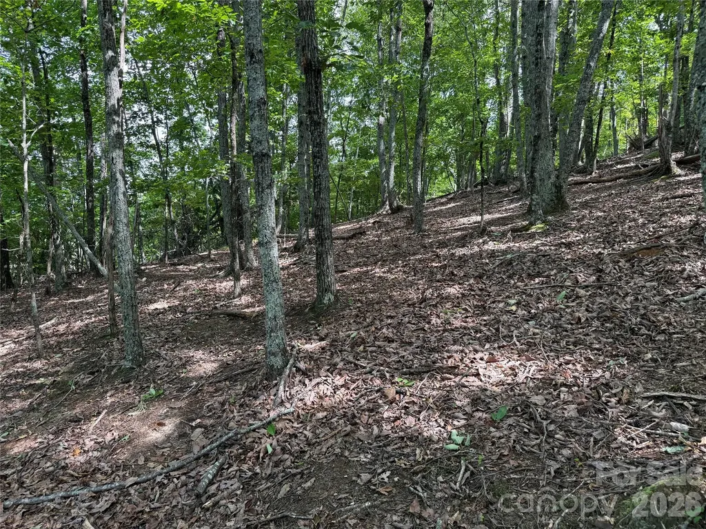 0 Scouts Trail Bostic NC 28018