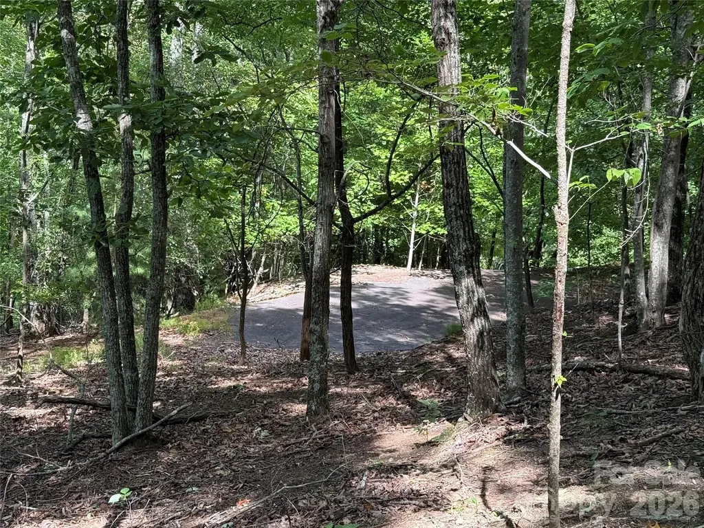 0 Scouts Trail Bostic NC 28018