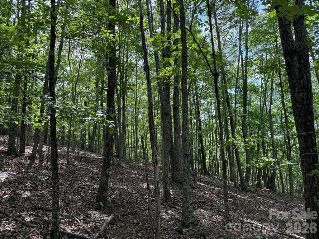 0 Scouts Trail Bostic NC 28018
