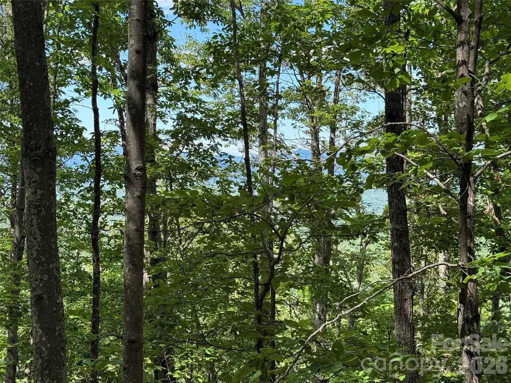 0 Scouts Trail Bostic NC 28018