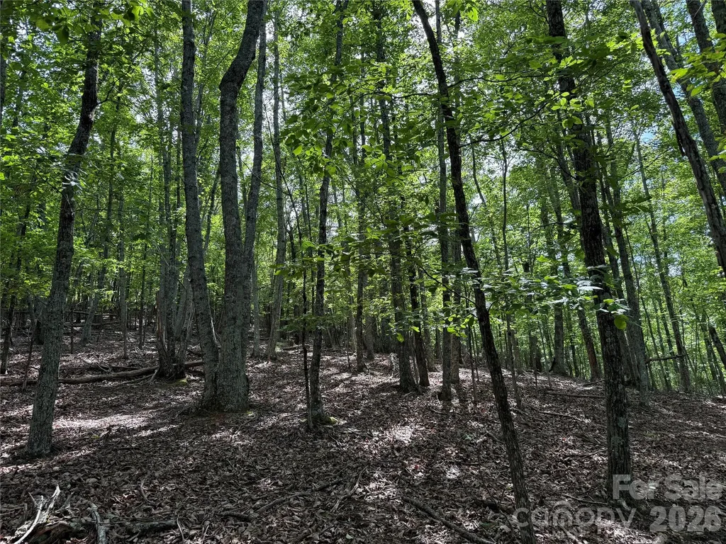 0 Scouts Trail Bostic NC 28018