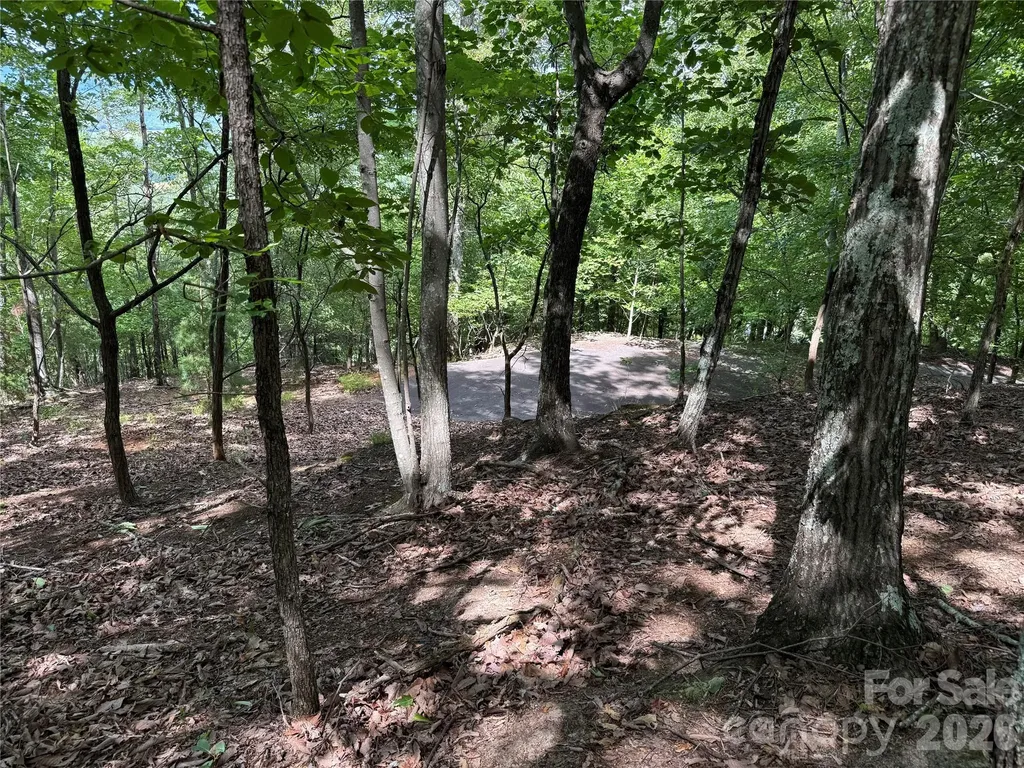 0 Scouts Trail Bostic NC 28018