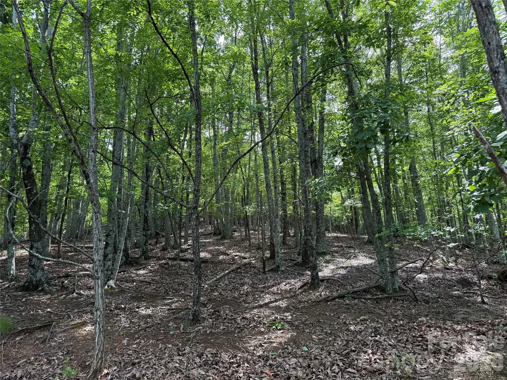 0 Scouts Trail Bostic NC 28018
