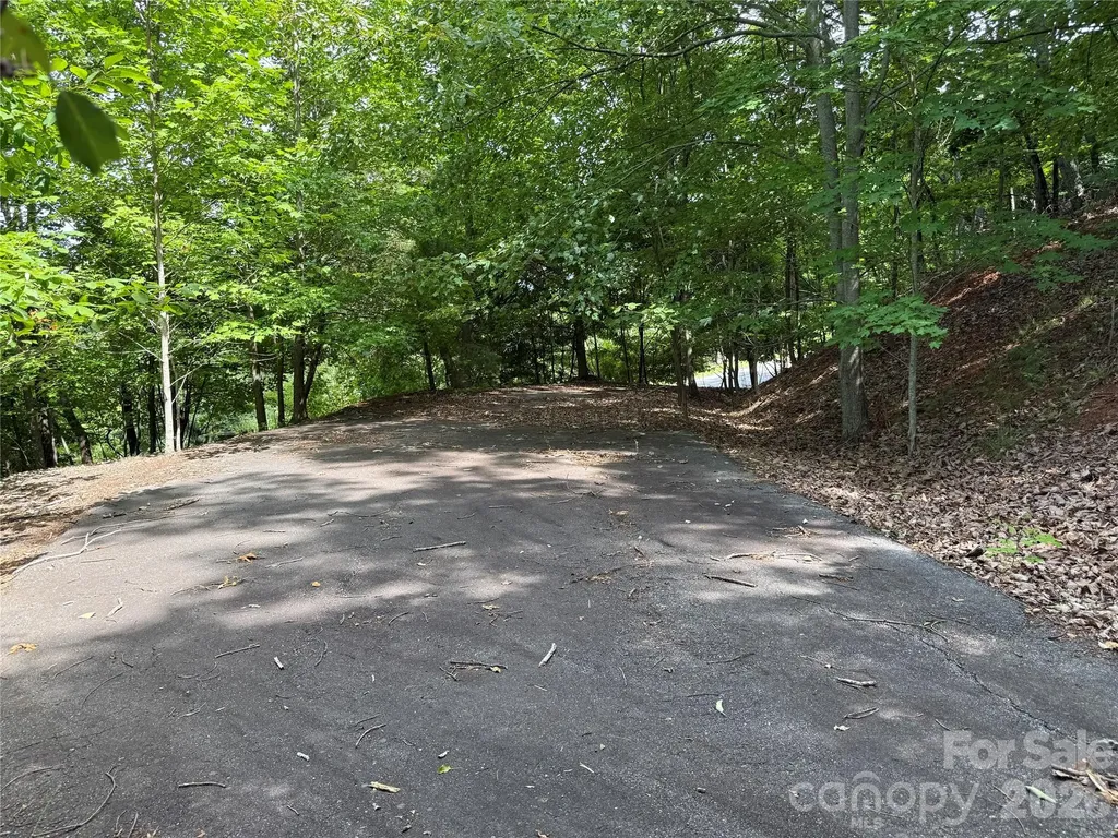 0 Scouts Trail Bostic NC 28018