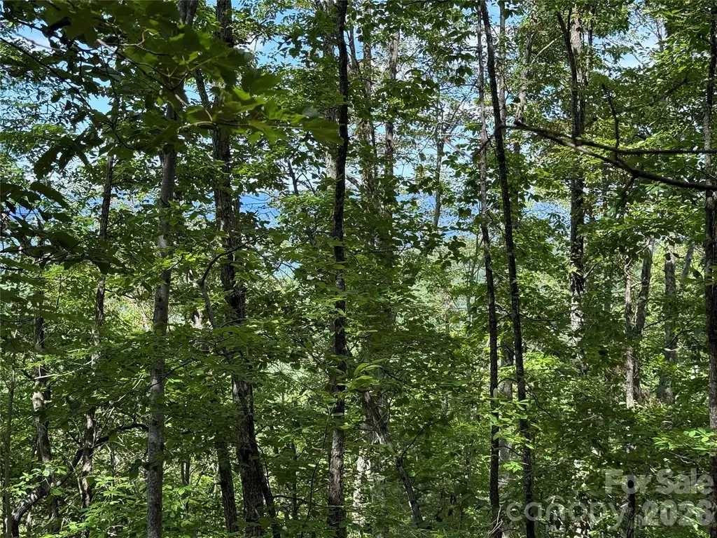 0 Scouts Trail Bostic NC 28018