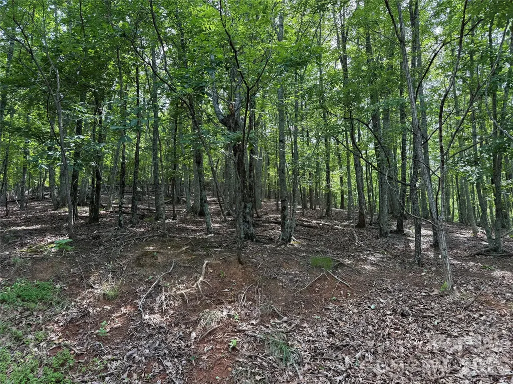 0 Scouts Trail Bostic NC 28018