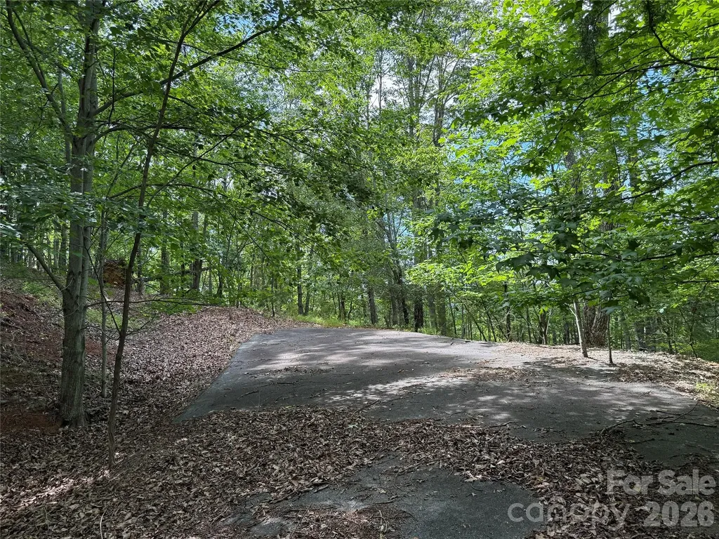0 Scouts Trail Bostic NC 28018