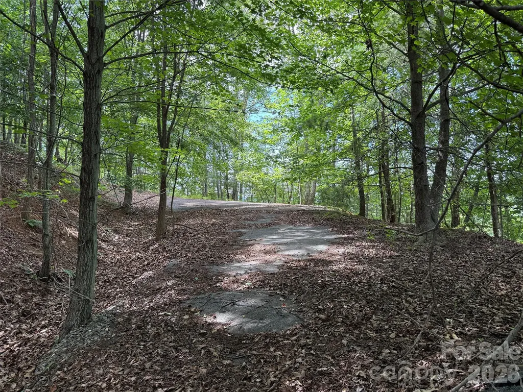 0 Scouts Trail Bostic NC 28018