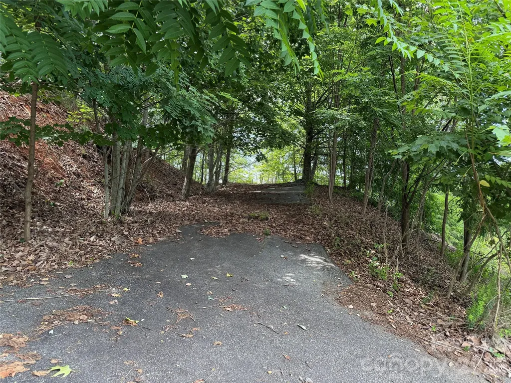 0 Scouts Trail Bostic NC 28018