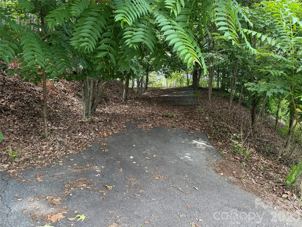 0 Scouts Trail Bostic NC 28018
