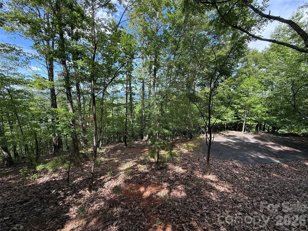 0 Scouts Trail Bostic NC 28018