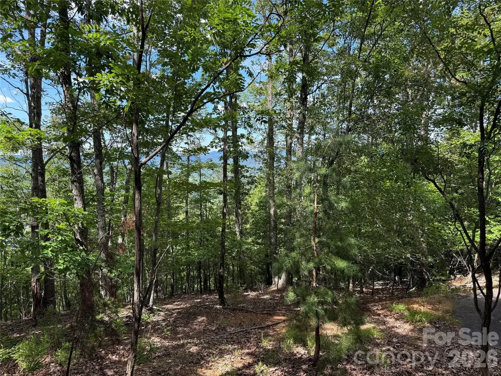 0 Scouts Trail Bostic NC 28018