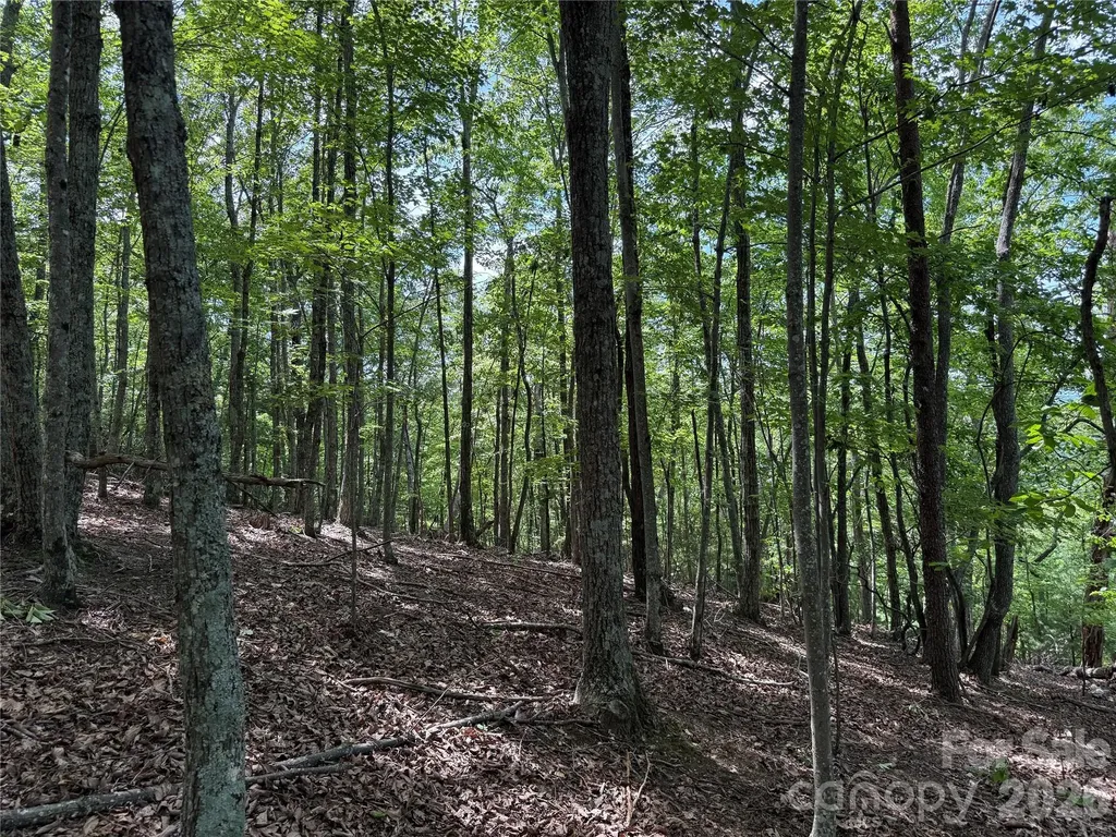 0 Scouts Trail Bostic NC 28018