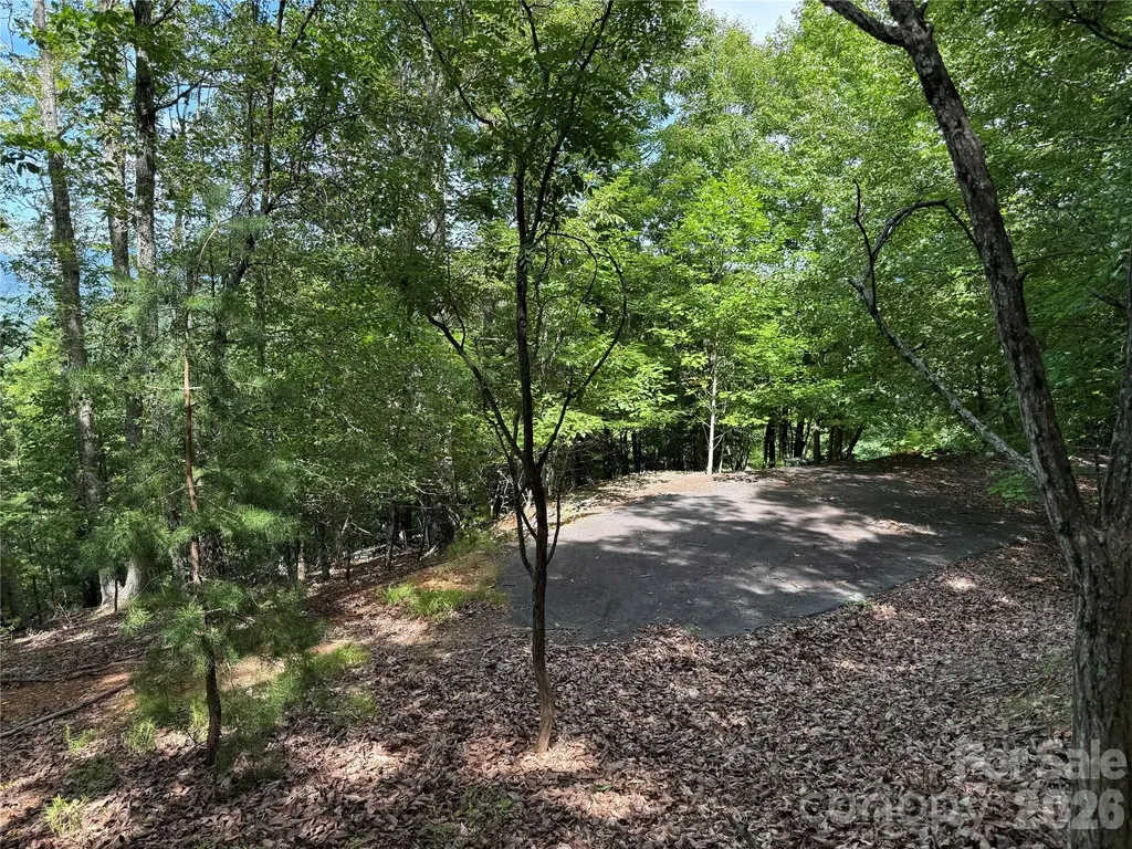 0 Scouts Trail Bostic NC 28018