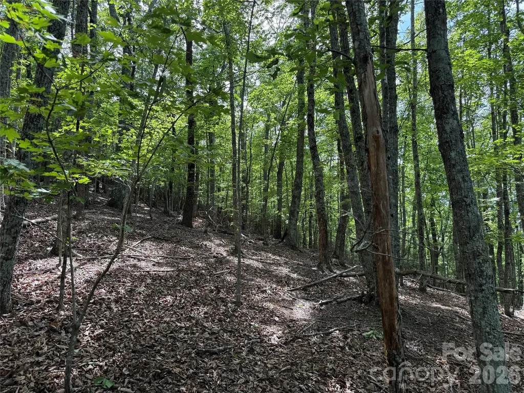 0 Scouts Trail Bostic NC 28018